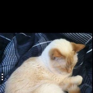 Meet your Posher, Patrick